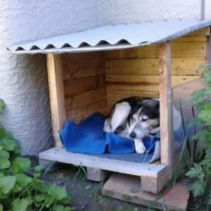 User Other Pallet Projects 