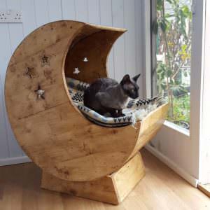 User Other Pallet Projects 
