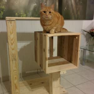 User Other Pallet Projects 