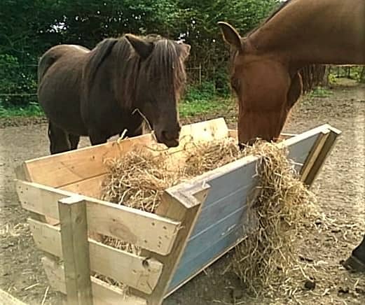 Pallet Hay Bins9