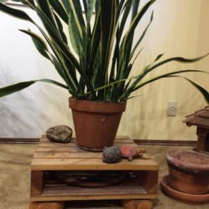 User Other Pallet Projects 