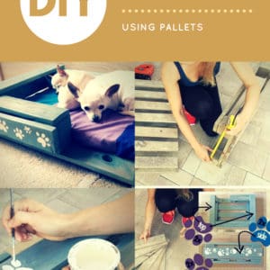 User Other Pallet Projects 