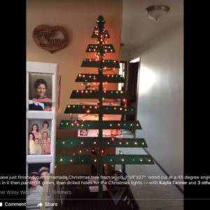 User Other Pallet Projects 