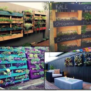 User Other Pallet Projects 