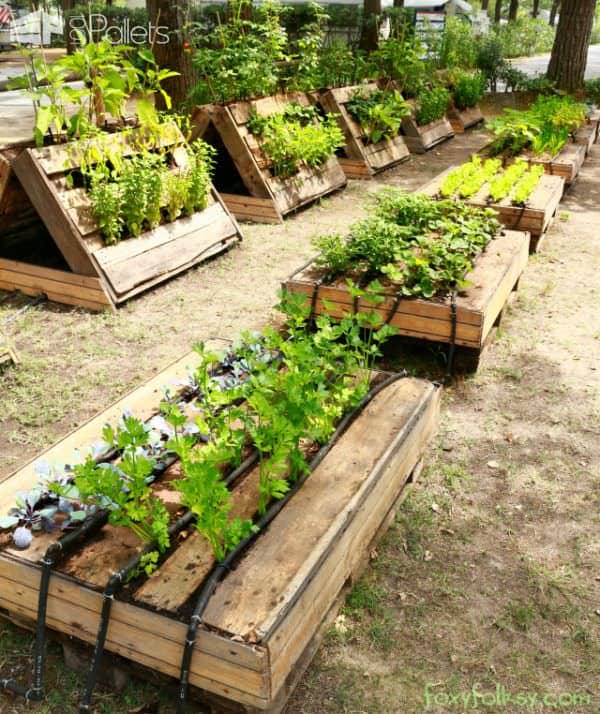 The Most Perfect Raised Garden Beds Made out of Pallets Pallet Planters & Compost Bins 