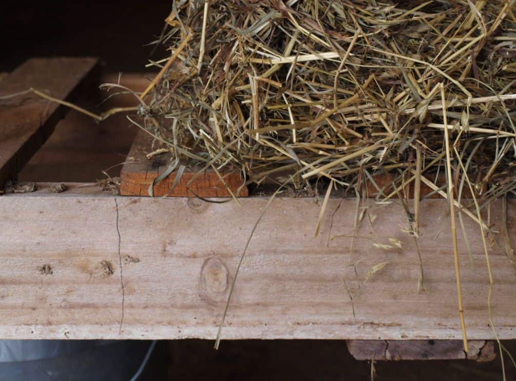 Diy Pdf Tutorials Easy Pallet Hay Feeder 1001 Pallets Free