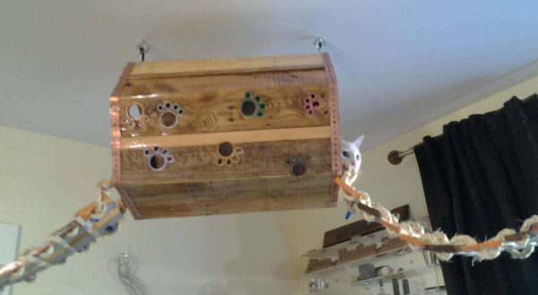 Our Best Pallet Chicken Coops, Hutches & Cages Animal Pallet Houses & Pallet Supplies Our Best Pallet Chicken Coops, Hutches & Cages Animal Pallet Houses & Pallet Supplies