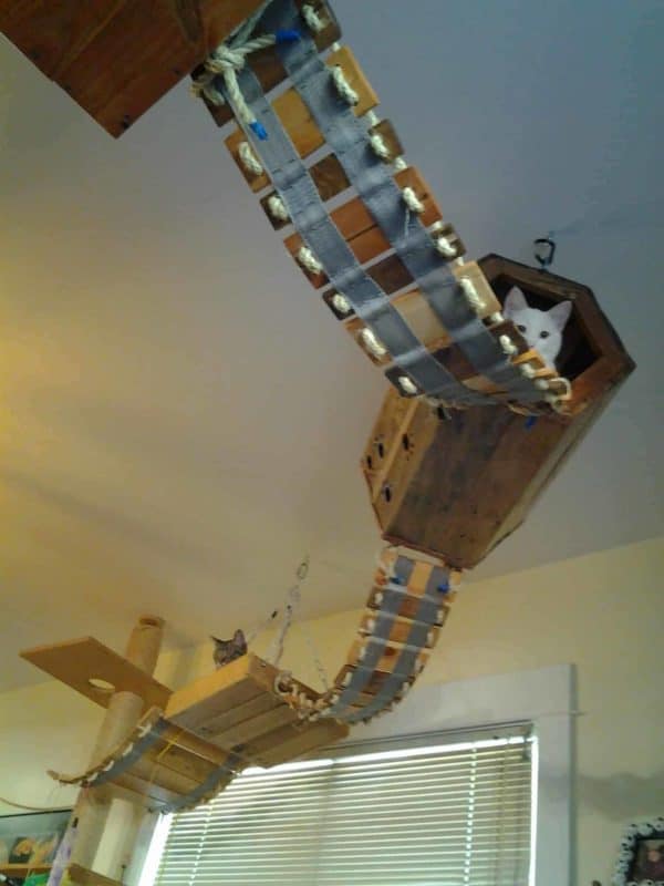 Our Best Pallet Chicken Coops, Hutches & Cages Animal Pallet Houses & Pallet Supplies Our Best Pallet Chicken Coops, Hutches & Cages Animal Pallet Houses & Pallet Supplies
