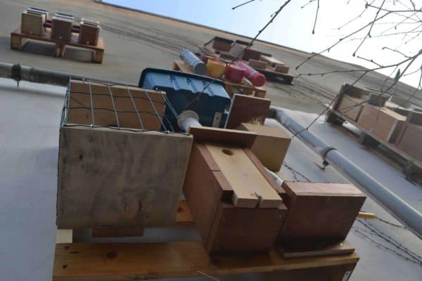 Our Best Pallet Chicken Coops, Hutches & Cages Animal Pallet Houses & Pallet Supplies Our Best Pallet Chicken Coops, Hutches & Cages Animal Pallet Houses & Pallet Supplies