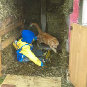 User Other Pallet Projects 