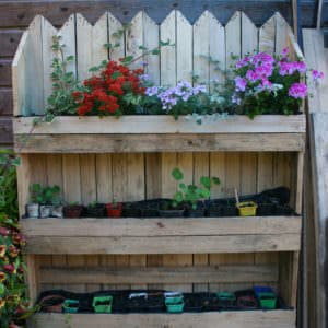 User Other Pallet Projects 