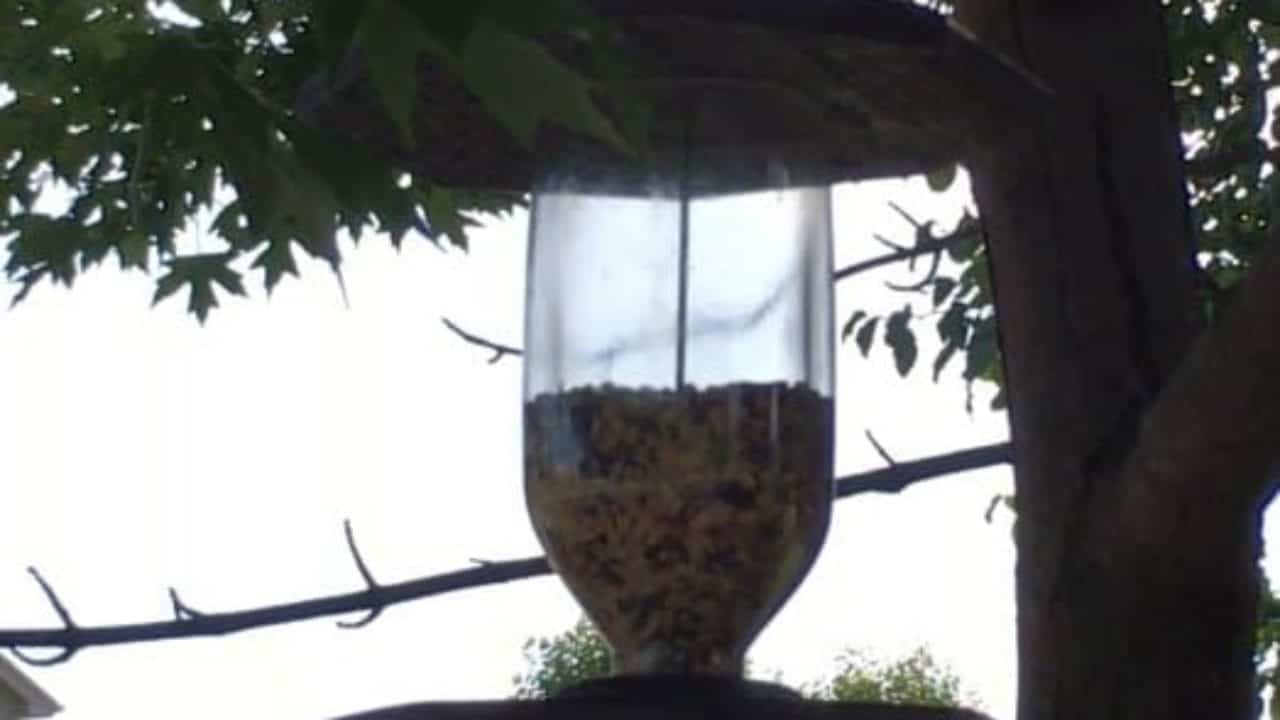 Pallet Wood Bird Feeder 1001 Pallets