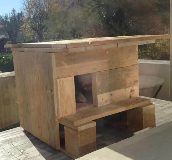 Cat Pallet Projects: Here Are 10 Amazing Ideas For Them! • 1001 Pallets