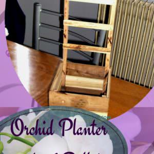 User Other Pallet Projects 
