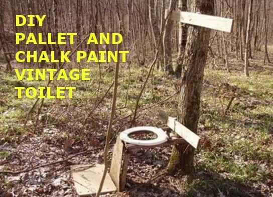 Does a bear s**t in the woods? With this Weird Wood toilet seat, you'll be able to find out.