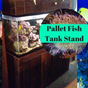 User Other Pallet Projects 