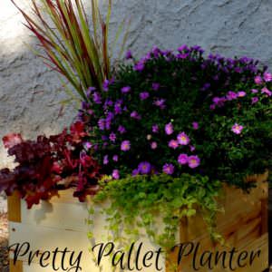 User Other Pallet Projects 