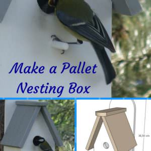 User Other Pallet Projects 