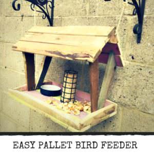 User Other Pallet Projects 