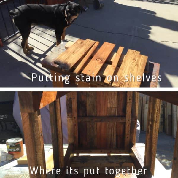 My dog supervises the staining process for the pieces of my Mason Jar Lamp Pallet Side Table.