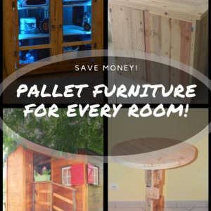 User Other Pallet Projects 