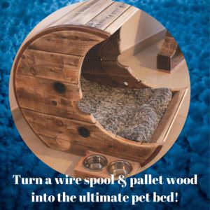 User Other Pallet Projects 