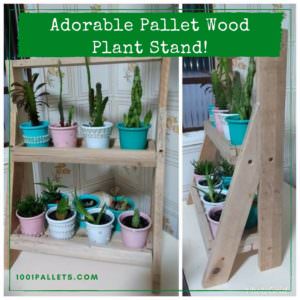 User Other Pallet Projects 