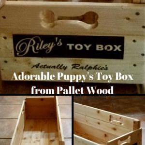 User Other Pallet Projects 