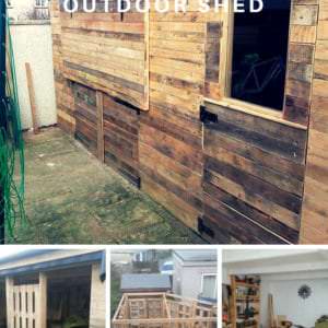 User Other Pallet Projects 