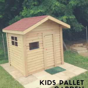 User Other Pallet Projects 