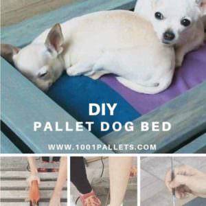 User Other Pallet Projects 