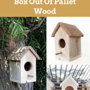 User Other Pallet Projects 