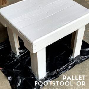 User Other Pallet Projects 