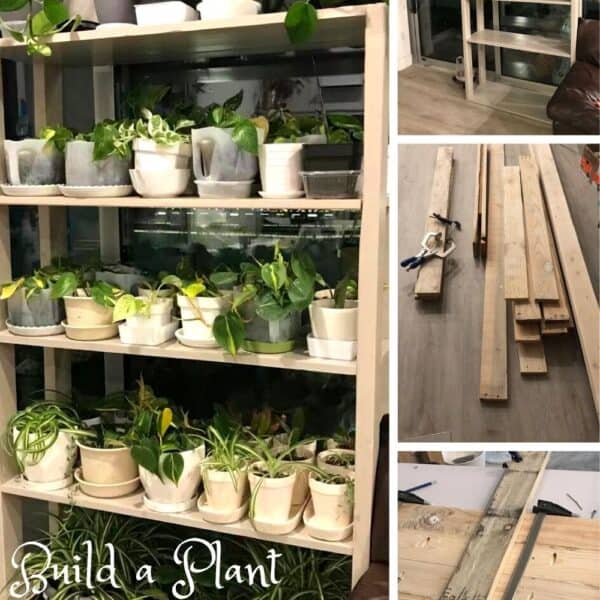 User Other Pallet Projects 
