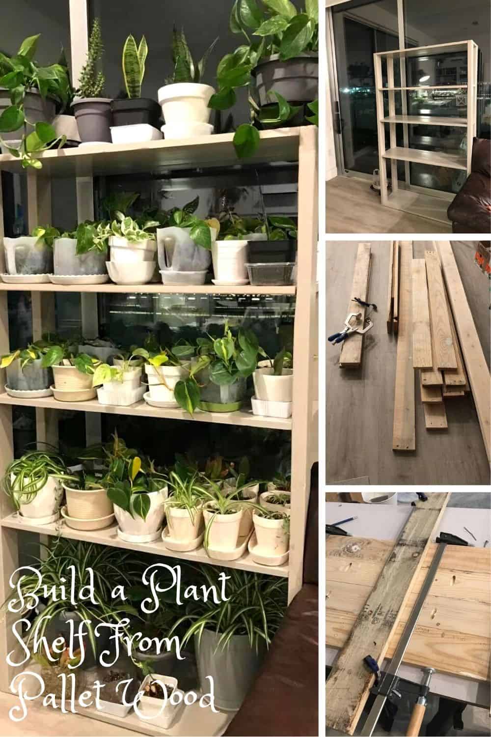 Build a Plant Shelf From Pallet Wood • 1001 Pallets