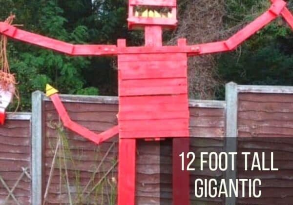 Pallet-Beast