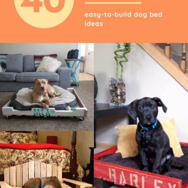 Pallet dog sale bed ideas