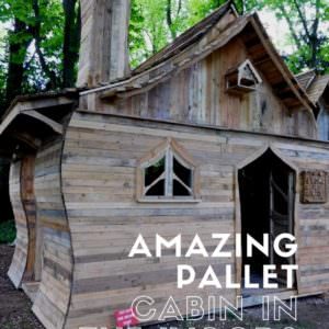 1001pallets.com-amazing-pallet-cabin-in-the-woods-01