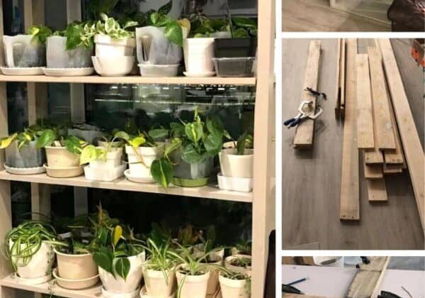 Build a Plant Shelf From Pallet Wood