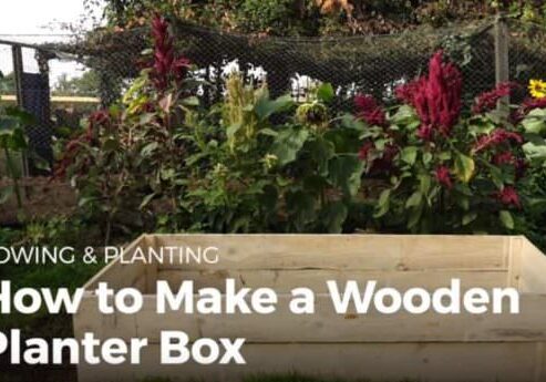 1001pallets.com-capture