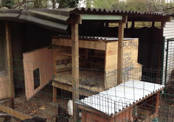 1001pallets.com-chicken-coop-from-pallets9