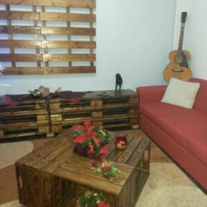1001pallets.com-coffee-table8