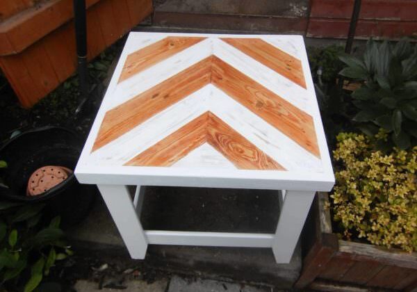 Traveler Digital Camera