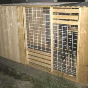 1001pallets.com-custom-made-collapsible-dog-kennels