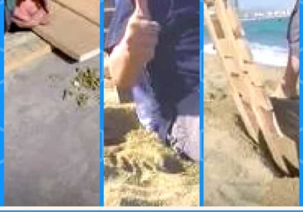 1001pallets.com-diy-video-tutorial-excellent-pallet-beach-seat-02