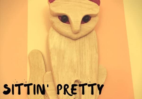 1001pallets.com-diy-video-tutorial-sitting-pretty-pallet-kitty-02