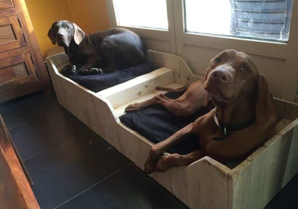 dogbed-from-pallets