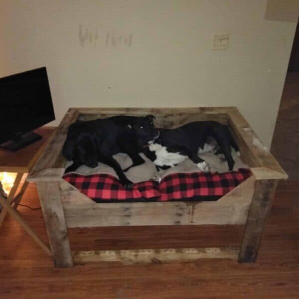 1001pallets.com-double-pallet-dog-bed
