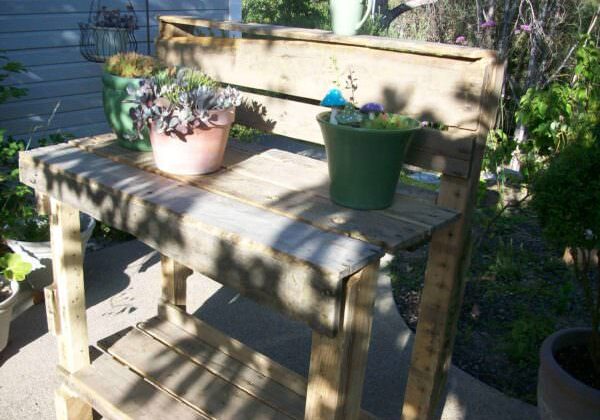 Plant-Bench-2