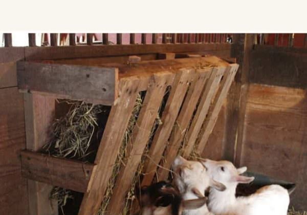 1001pallets.com-easy-pallet-hay-feeder-02